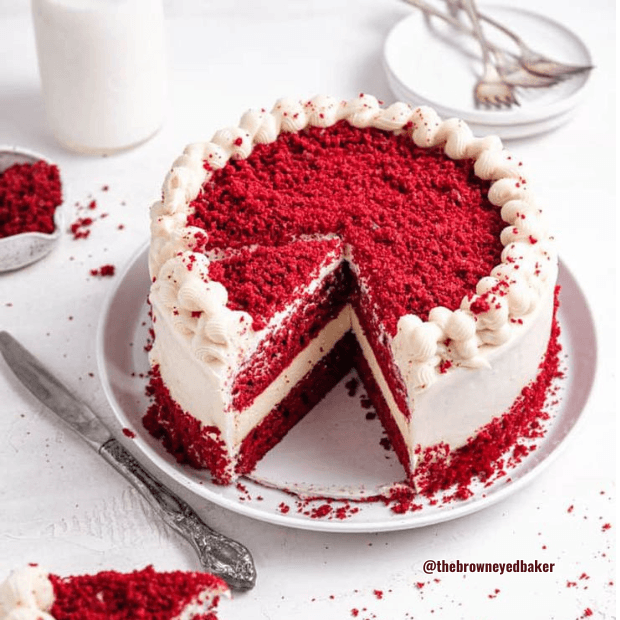 Family's Cake Chronicles: A Sweet Celebration Lookbook
