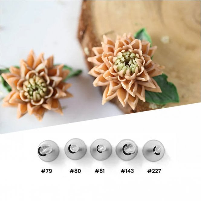 Piping Paradise Luxe Bloom Floral Piping Tip Collection - Set of 5 (#79, #80, #81, #143, #227)